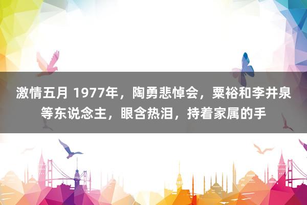 激情五月 1977年，陶勇悲悼会，粟裕和李井泉等东说念主，眼含热泪，持着家属的手