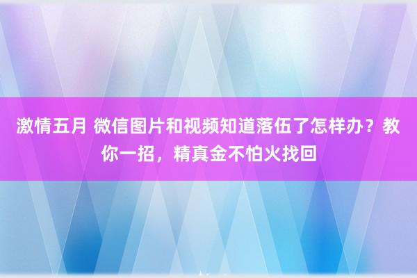 激情五月 微信图片和视频知道落伍了怎样办？教你一招，精真金不怕火找回