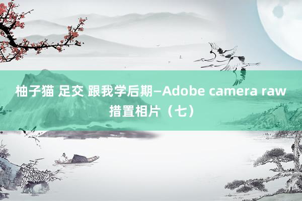 柚子猫 足交 跟我学后期—Adobe camera raw措置相片（七）