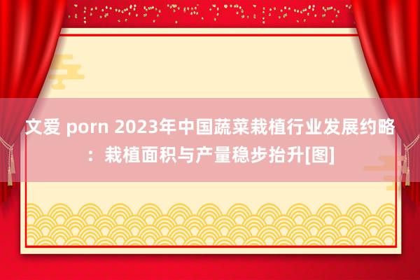 文爱 porn 2023年中国蔬菜栽植行业发展约略：栽植面积与产量稳步抬升[图]
