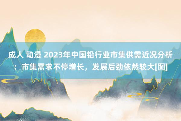 成人 动漫 2023年中国铅行业市集供需近况分析：市集需求不停增长，发展后劲依然较大[图]