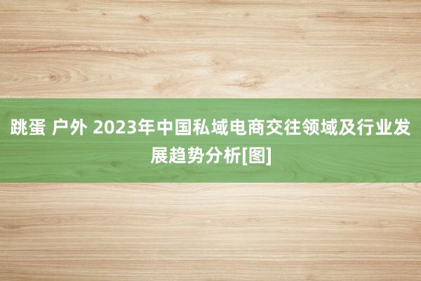 跳蛋 户外 2023年中国私域电商交往领域及行业发展趋势分析[图]