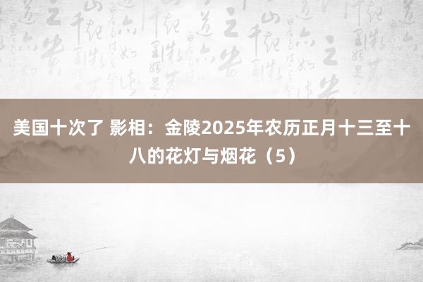 美国十次了 影相：金陵2025年农历正月十三至十八的花灯与烟花（5）