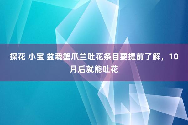 探花 小宝 盆栽蟹爪兰吐花条目要提前了解，10月后就能吐花