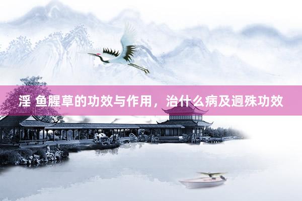 淫 鱼腥草的功效与作用，治什么病及迥殊功效
